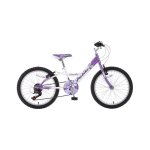 PRO BIKE