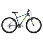 IDEAL Trial 29″